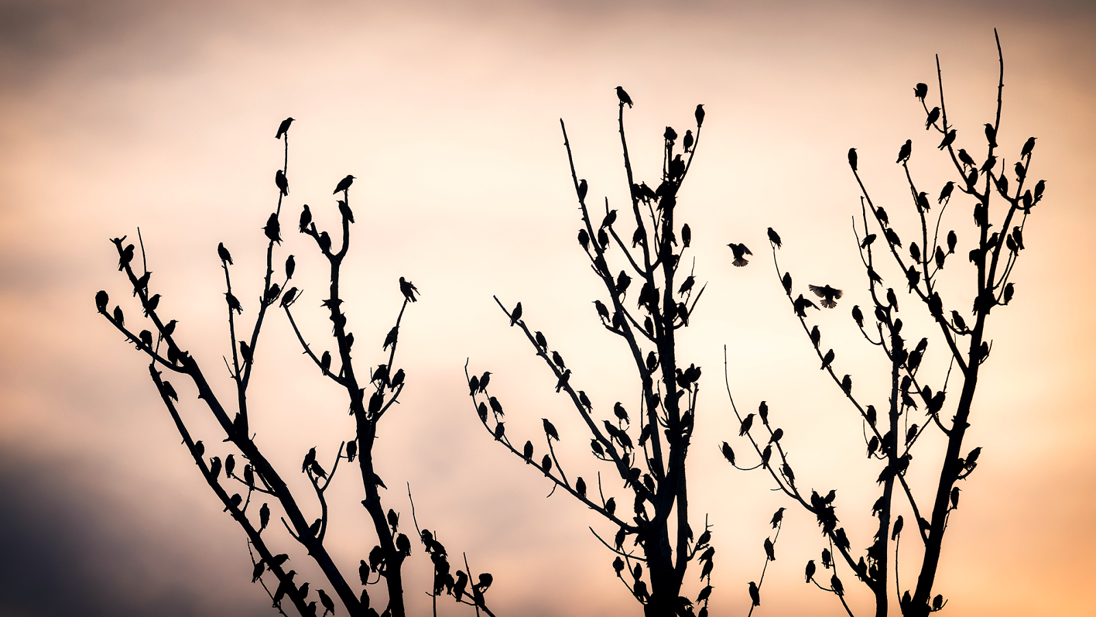 Foto: Martin Kučera