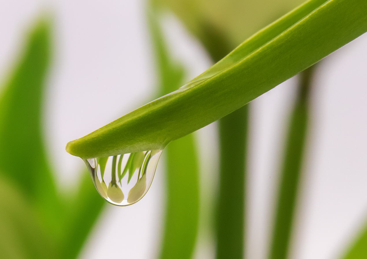 Foto: Martin Kučera