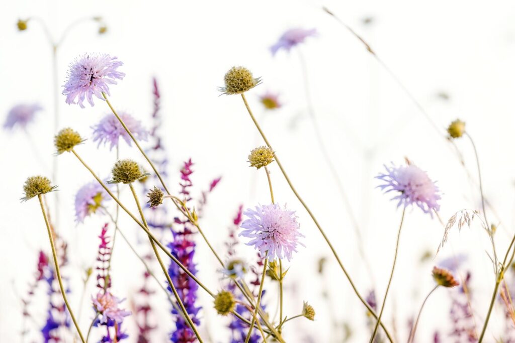 Foto: Martin Kučera