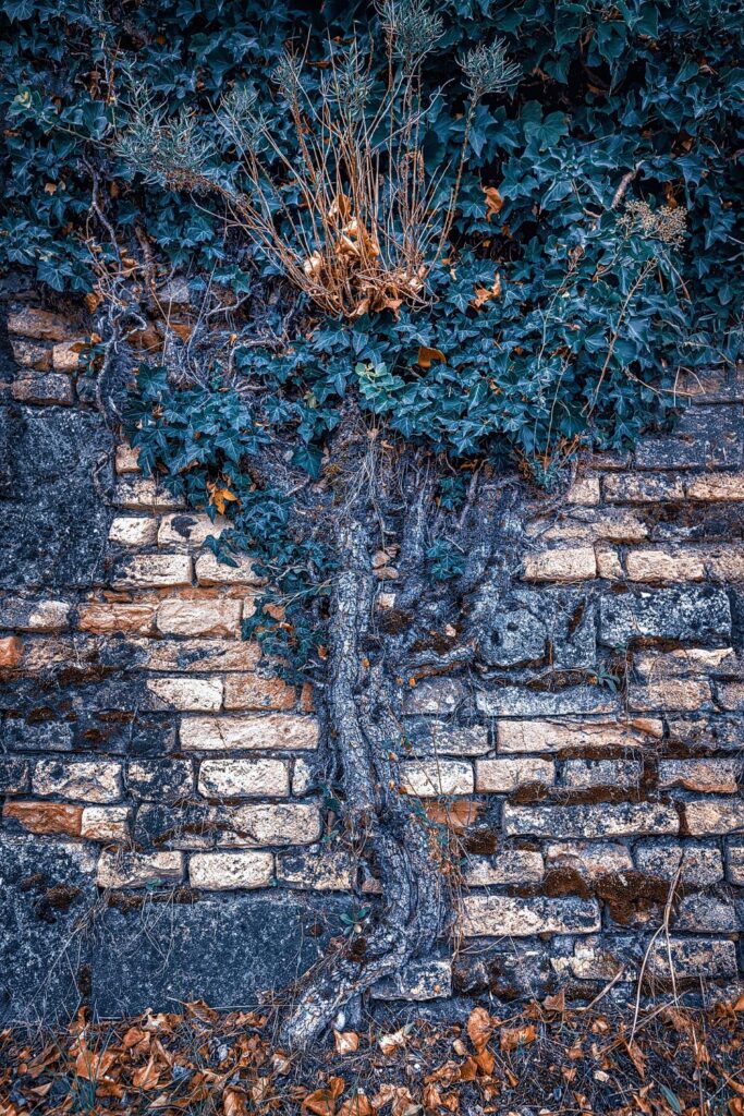 Foto: Martin Kučera