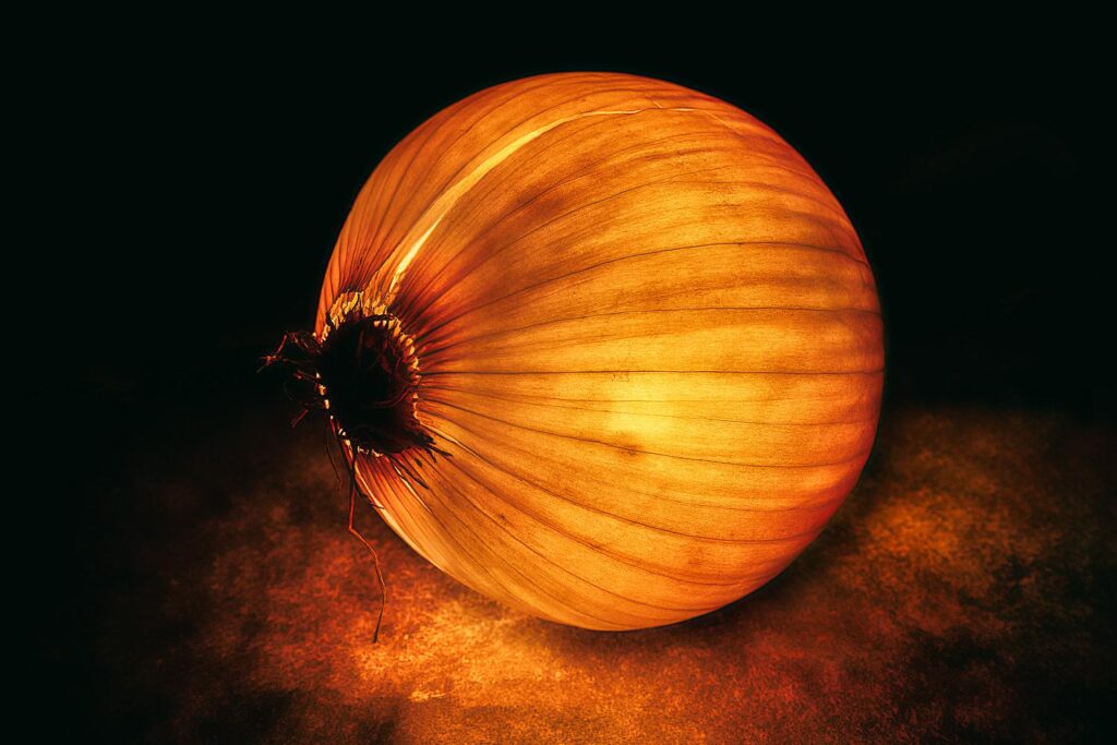 Foto: Martin Kučera