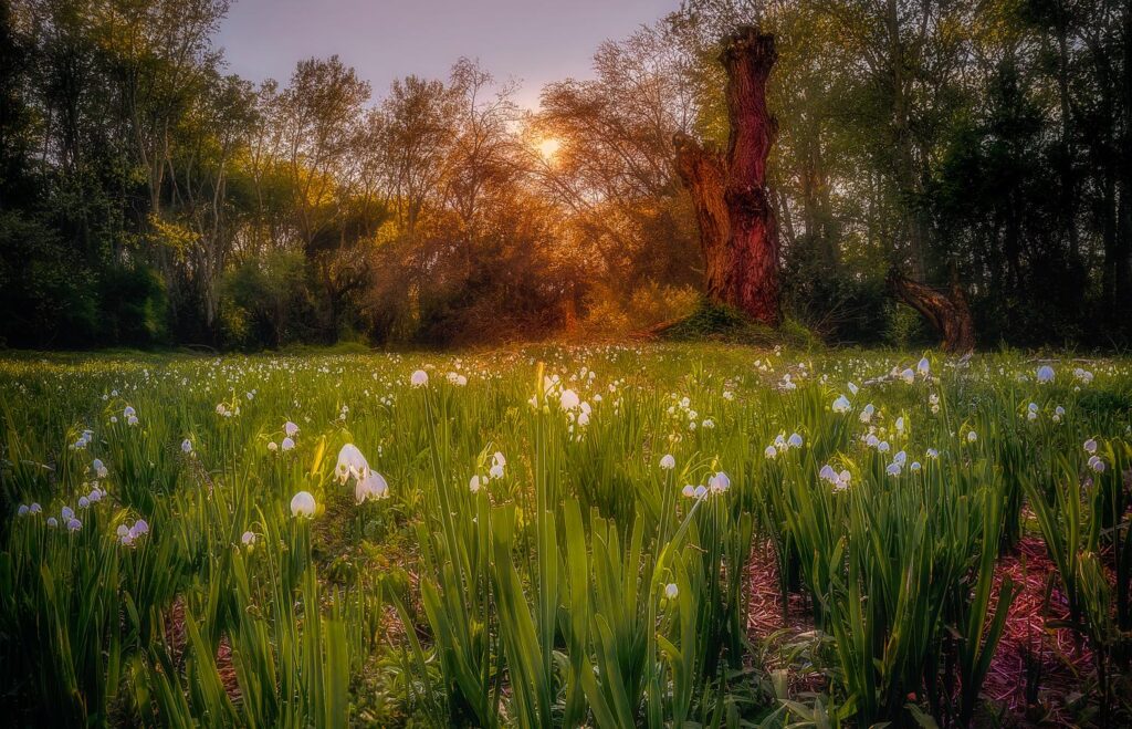 Foto: Martin Kučera