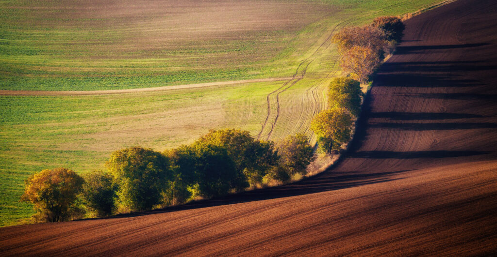 Foto: Martin Kučera