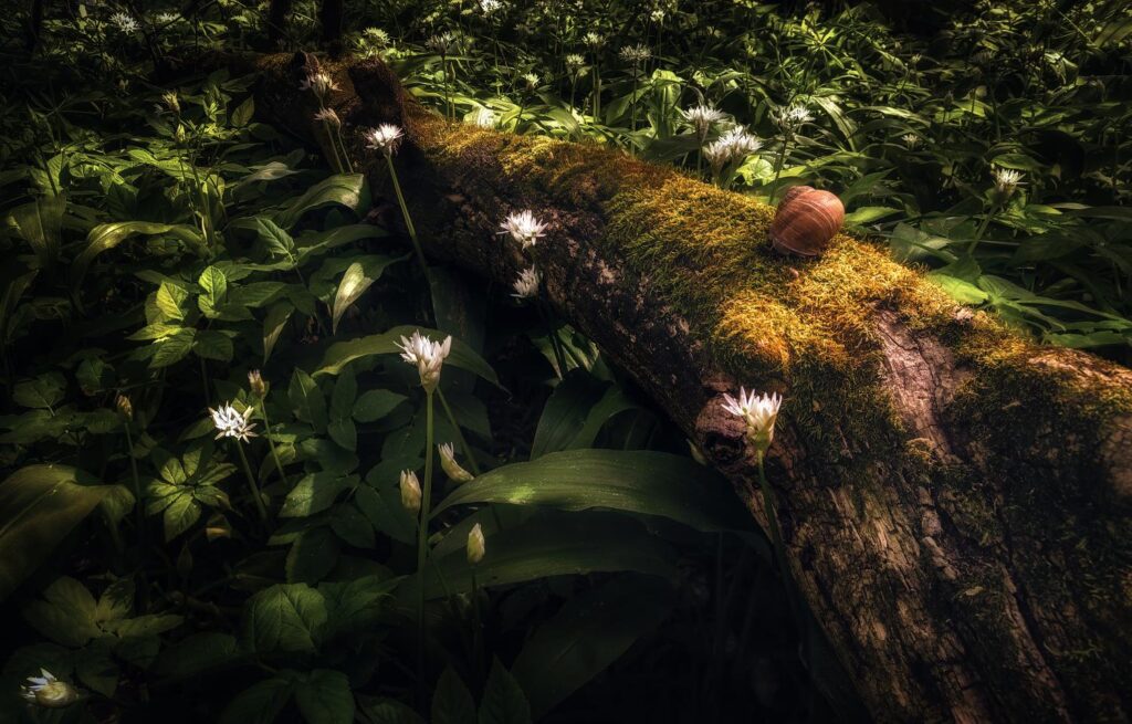 Foto: Martin Kučera