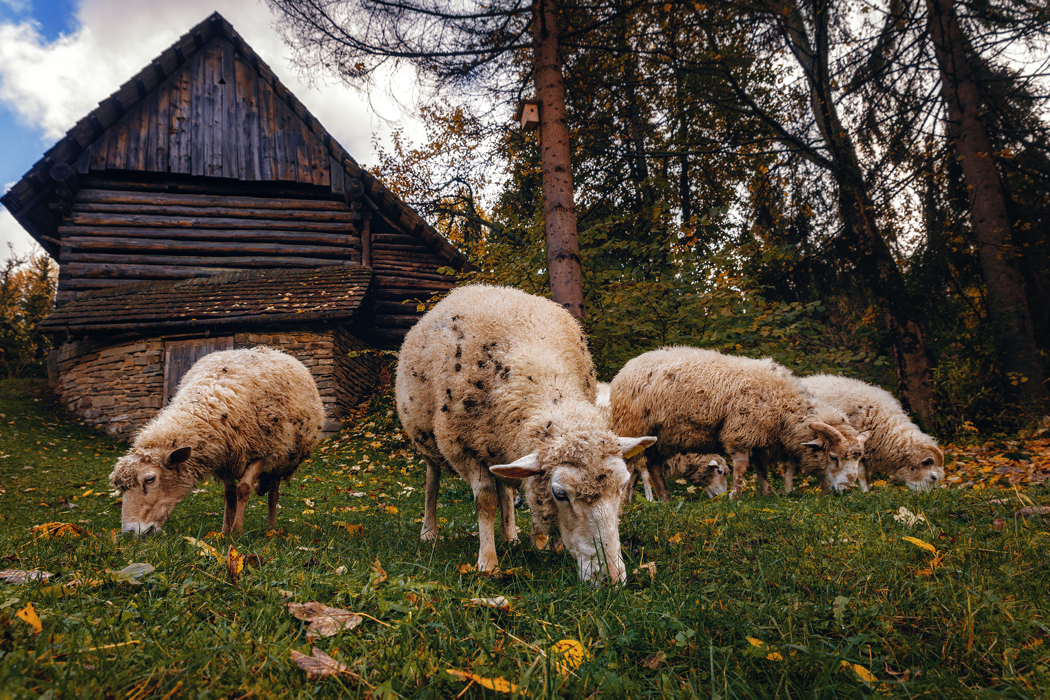 Foto: Martin Kučera